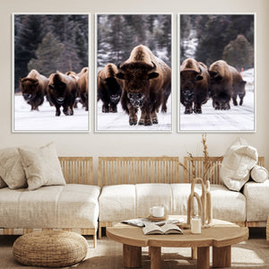 Bison Wall Art Canvas Print- Bison Herd Canvas Wall Art –