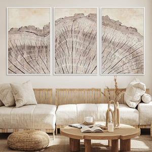 Tree Ring Wall Art Triptych, Rustic Wood Ring Canvas Print,