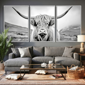 Scottish Cow Wall Art Canvas Print