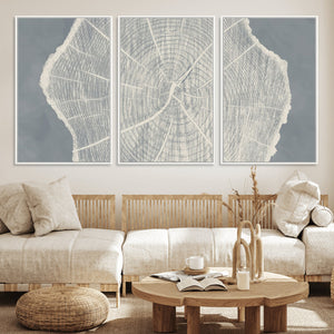 Abstract Tree Ring Wall Art Canvas Print – Nature-Inspired,