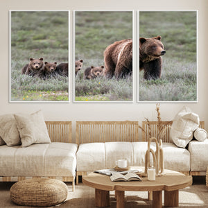 Wildlife Photography of 399 Grizzly Bear Cubs | Queen of the