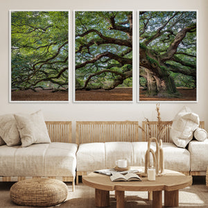 Historic Tree Wall Art – Framed Mossy Branch Canvas Artwork,