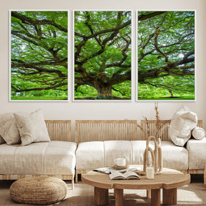 Oak Tree Wall Art Print, Forest Canvas Wall Art for Home and