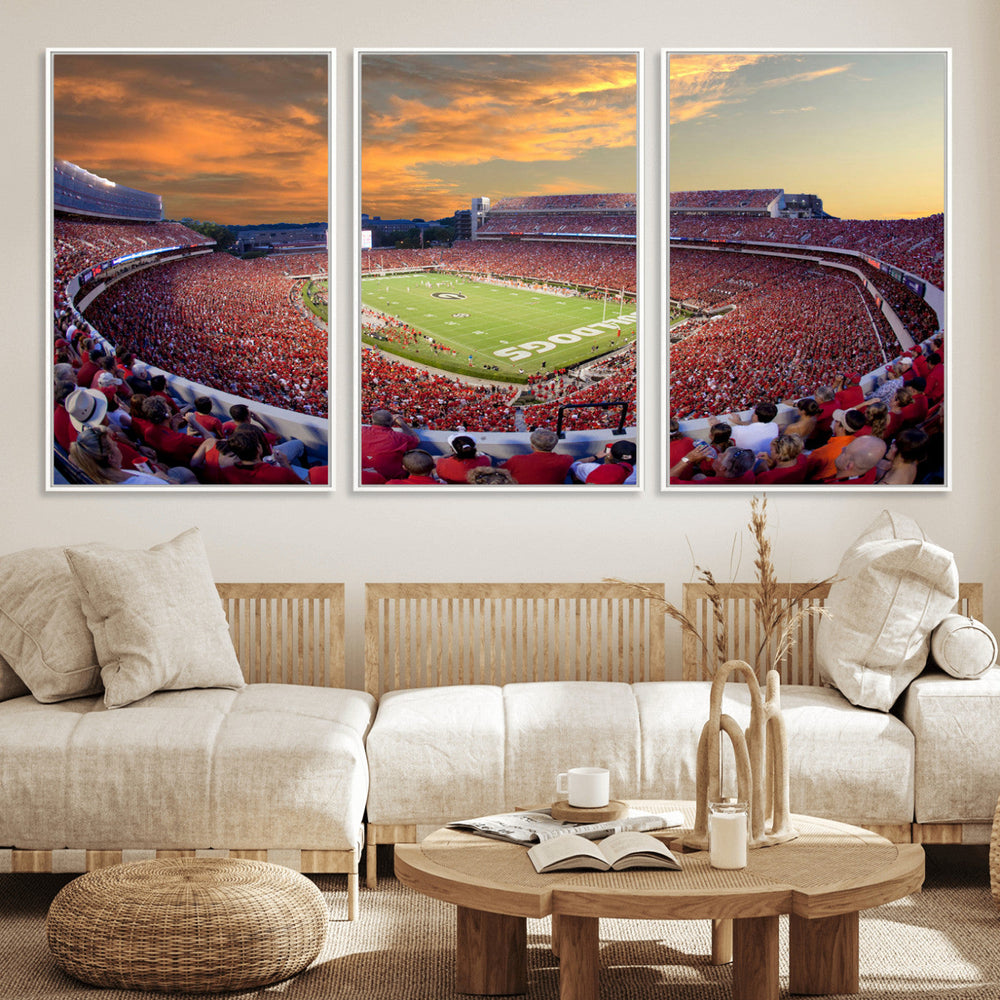 Dooley Stadium Wall Art, Sports Arena Canvas Print, Dooley
