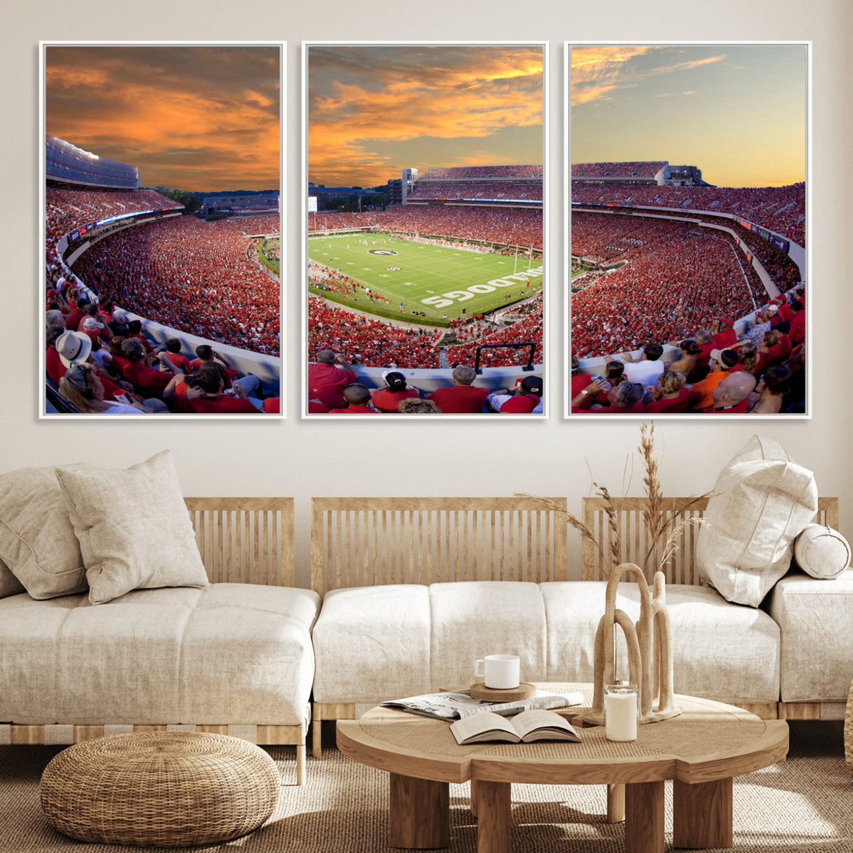 Dooley Stadium Wall Art, Sports Arena Canvas Print, Dooley