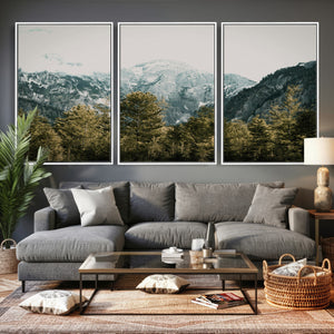 Mountain Forest Wall Art Canvas Print, Alpine Landscape