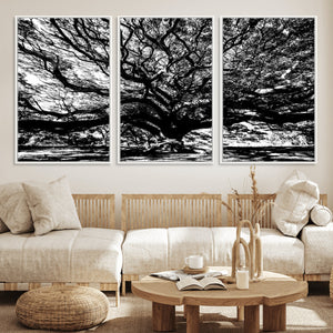 Mighty Angel Oak Wall Art | Angel Oak Tree Art Print