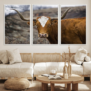 Texas Longhorn Canvas Wall Art - Longhorn Steer Canvas Wall