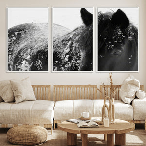 Black Horse in Snow Canvas Print | Winter Horse Wall Art |