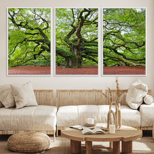 Framed Angel Oak Tree Wall Art - 3-Panel Canvas Prints,