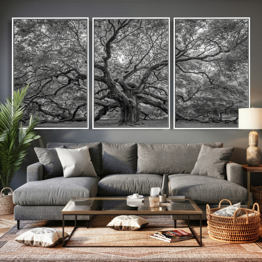 Majestic Angel Oak Tree Black and White Canvas Print – Multi
