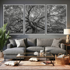 Majestic Angel Oak Tree Black and White Canvas Print – Multi