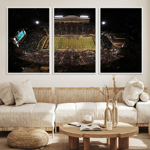 Wake Forest University Demon Deacons Canvas Printi, Football
