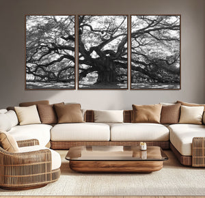 Ancient Oak Wall Art Canvas Print, Majestic Twisted Branches