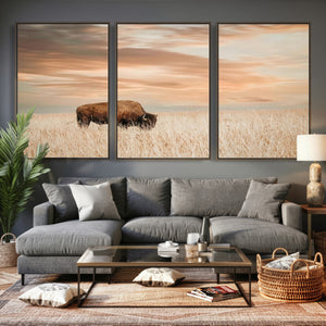 MyCanvas -