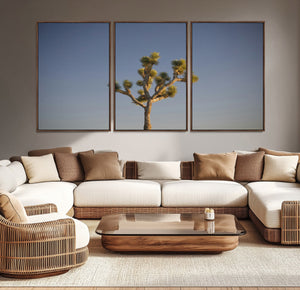 Joshua Tree Wall Art Canvas Print – Framed Southwestern