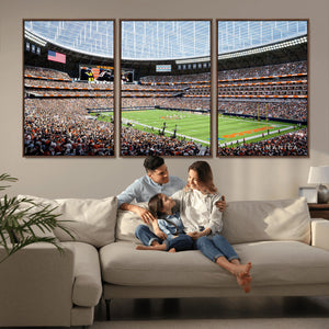 Chicago Bears Soldiers Field Wall Art Canvas Print – Framed