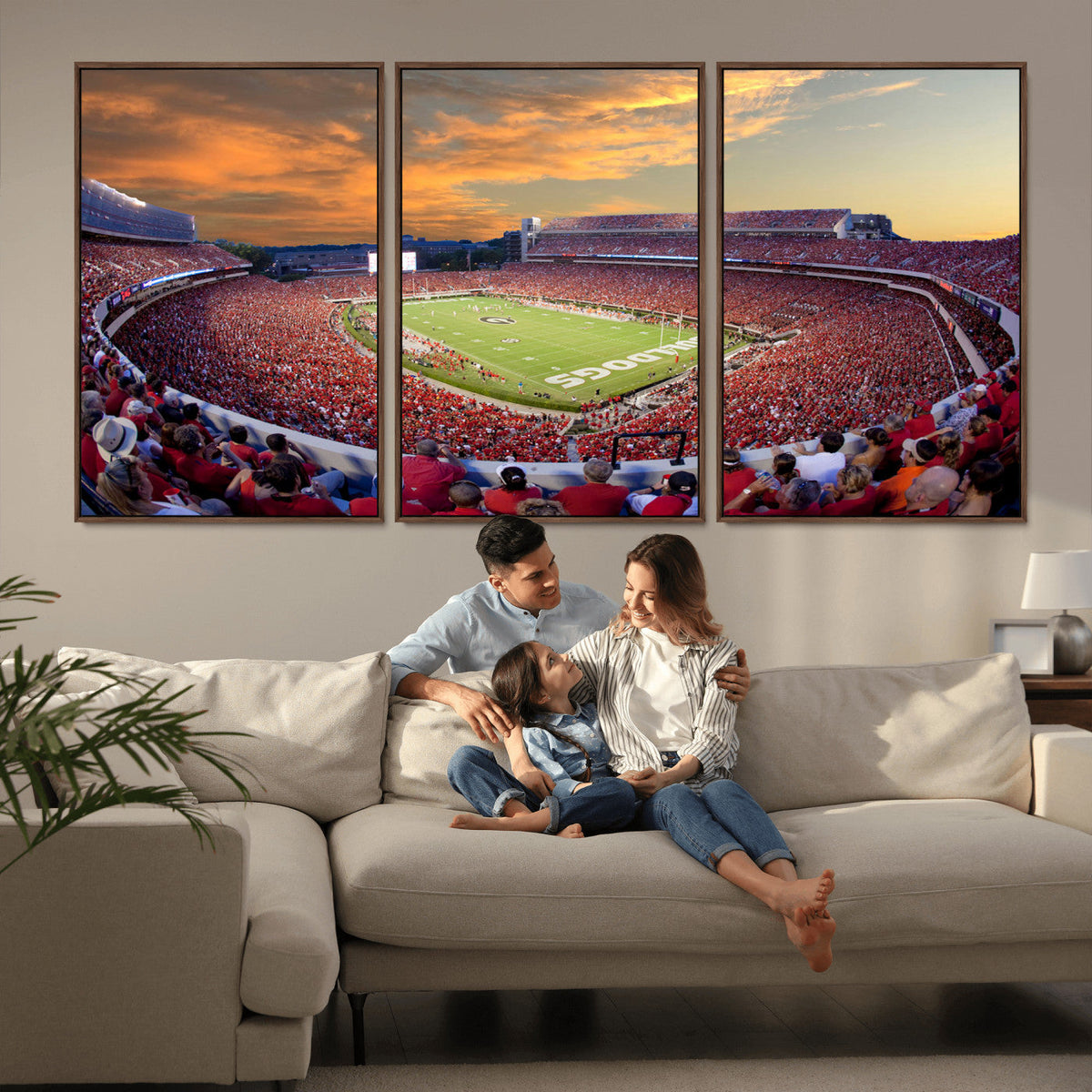 Dooley Stadium Wall Art, Sports Arena Canvas Print, Dooley