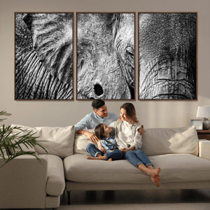 Wild Old Elephant Wall Art Canvas Print