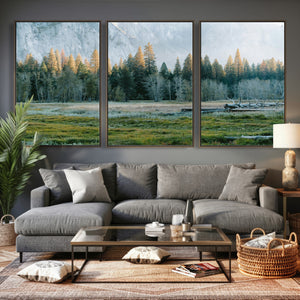 Forest Meadow Wall Art Canvas Print, Pine Tree Landscape