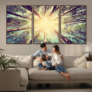 Tree and Sunshine Canvas Print