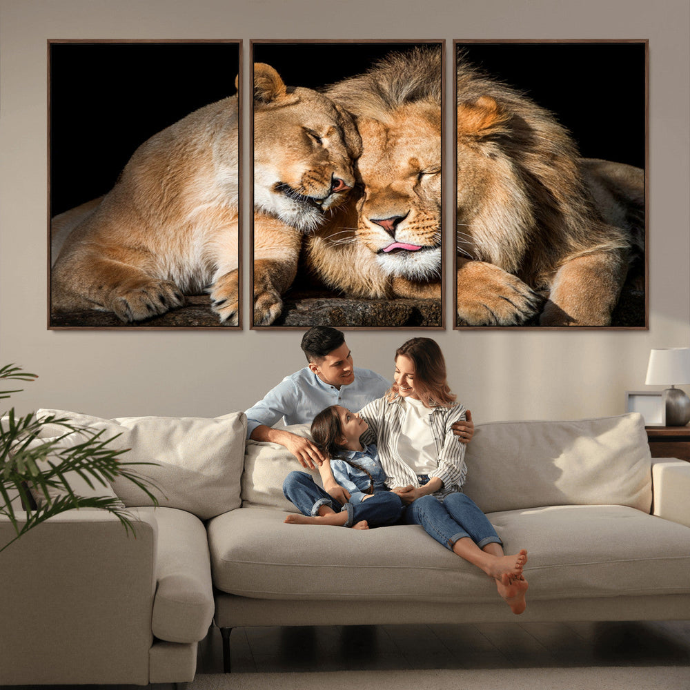 Lion and Lioness Wall Art Canvas Print – Framed African