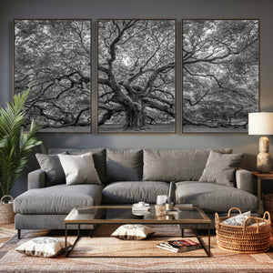Majestic Angel Oak Tree Black and White Canvas Print – Multi