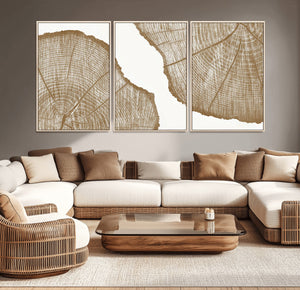 Rustic Brown Tree Ring Wall Art Canvas Print – Framed and