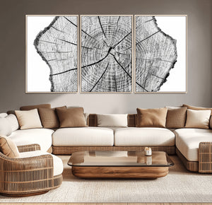 Rustic Tree Ring Wall Art Canvas Print – Framed and Ready to