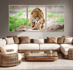 Leopard on the Prowl - Stunning Large Framed Leopard Wall