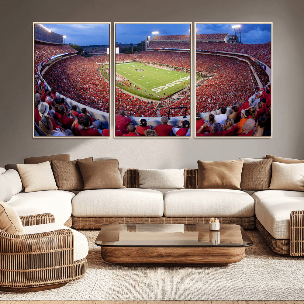 Dooley Stadium Wall Art, Sports Arena Canvas Print, Dooley