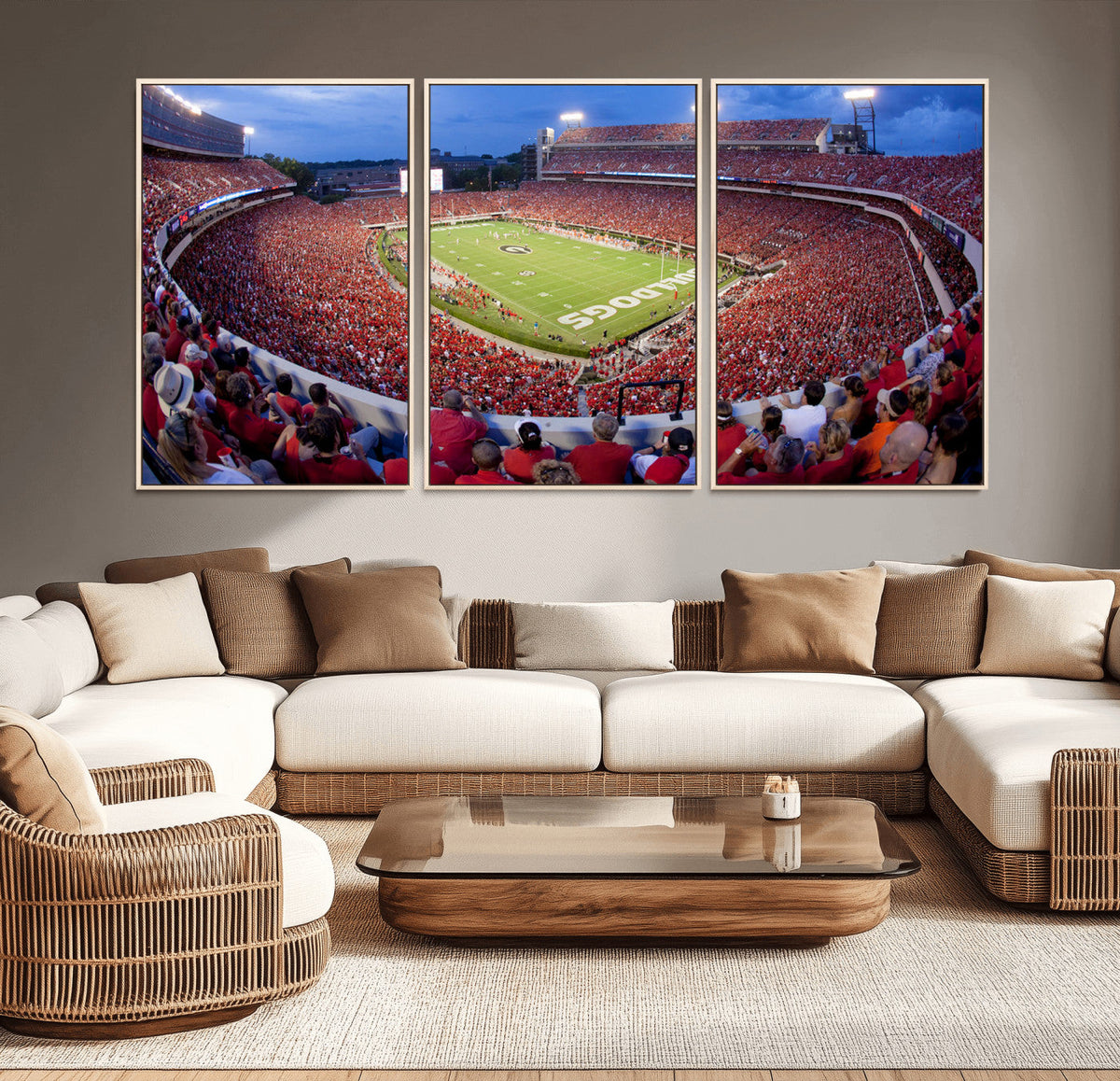 Dooley Stadium Wall Art, Sports Arena Canvas Print, Dooley