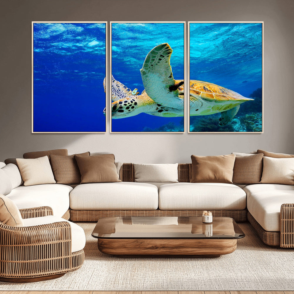 Sea Turtle Wall Art Canvas Print, Sea life in the Ocean Wall