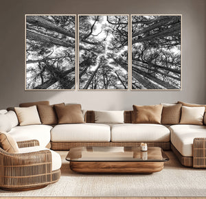 Trees Contemporary Art Canvas Print