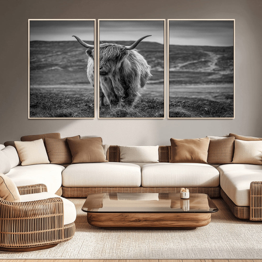 Fluffy Cattle Wall Art Print, Highland Cow Canvas, Framed