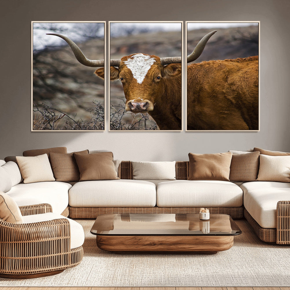 Texas Longhorn Canvas Wall Art - Longhorn Steer Canvas Wall