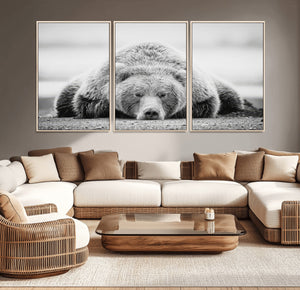 Resting Grizzly Bear Wall Art Canvas Print – Majestic Lazy