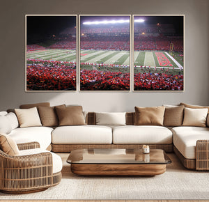 Rutgers University Scarlet Knights Football Team Print -