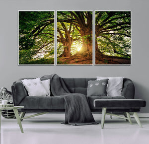 Majestic Ancient Tree Wall Art, NatureCanvas Print, Woodland