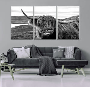 Longhorn Steer Canvas Print Wall Art, Highland Cow Canvas