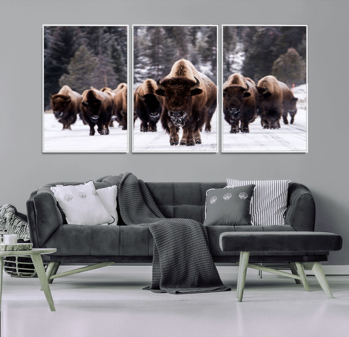 Bison Wall Art Canvas Print- Bison Herd Canvas Wall Art –