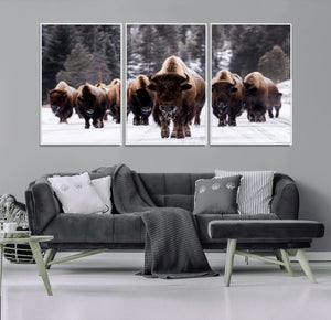 Bison Wall Art Canvas Print- Bison Herd Canvas Wall Art –