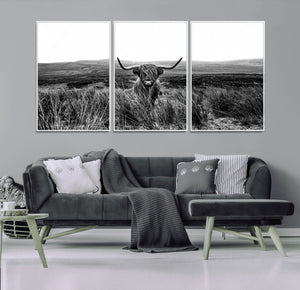 Black and White Highland Cow Canvas Wall Art, Longhorn