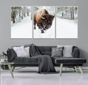 Bison Wall Art Canvas Print For Farmhouse, Animal Canvas