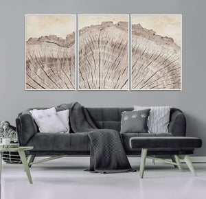 Tree Ring Wall Art Triptych, Rustic Wood Ring Canvas Print,