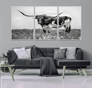 Texas Black White Highland Longhorn Cow Wall Art Canvas