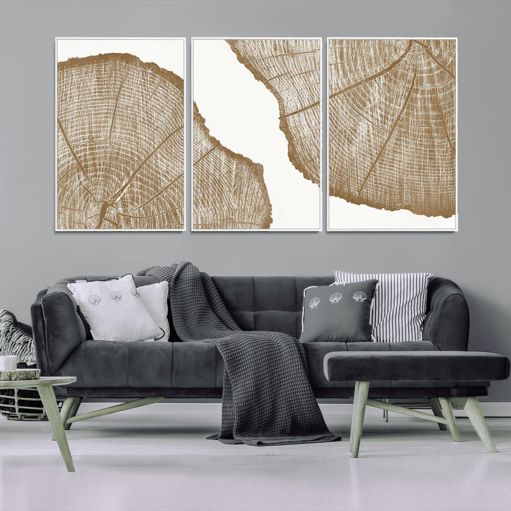 Rustic Brown Tree Ring Wall Art Canvas Print – Framed and