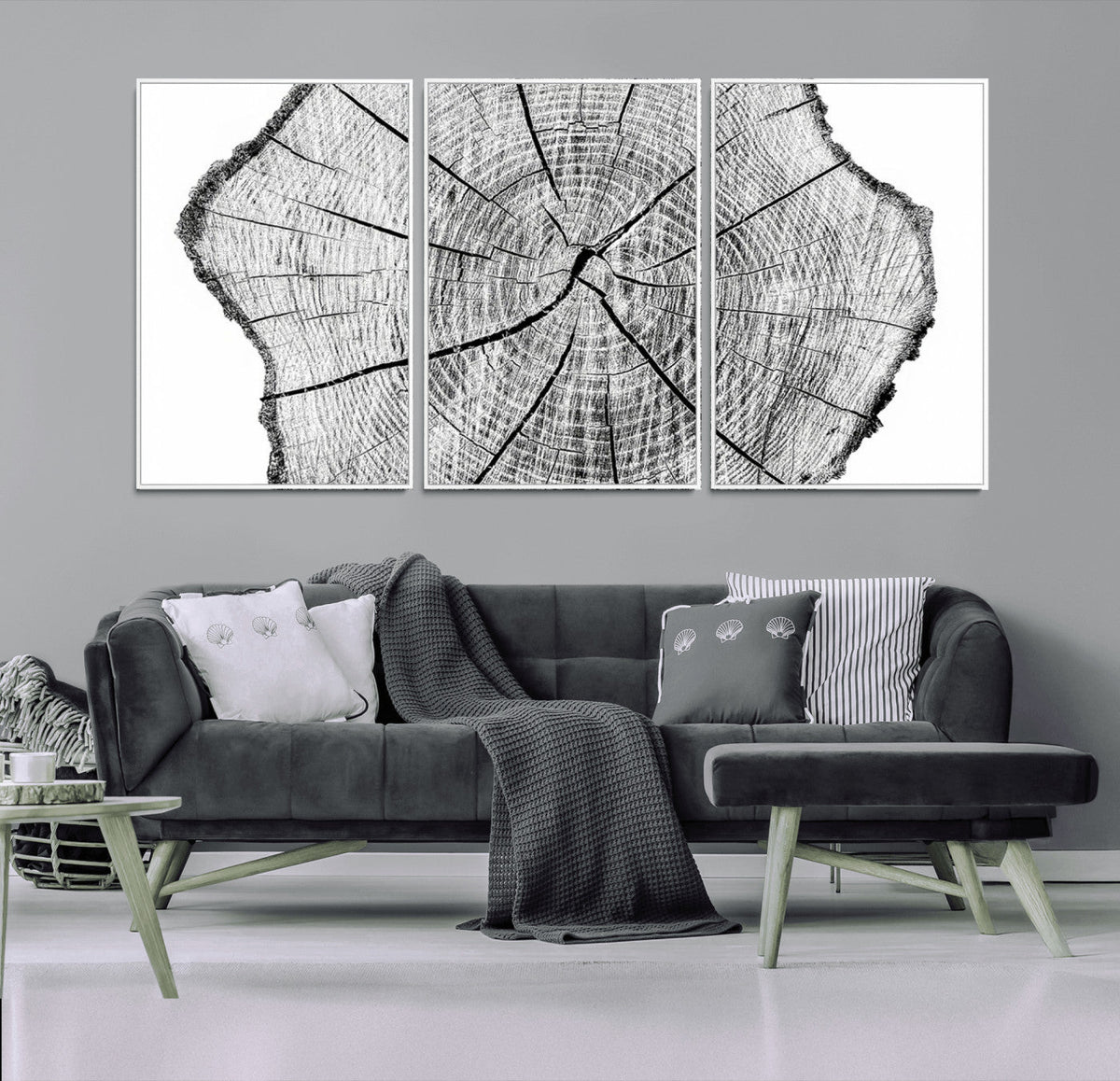 Rustic Tree Ring Wall Art Canvas Print – Framed and Ready to