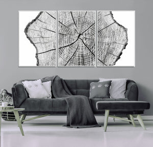 Rustic Tree Ring Wall Art Canvas Print – Framed and Ready to