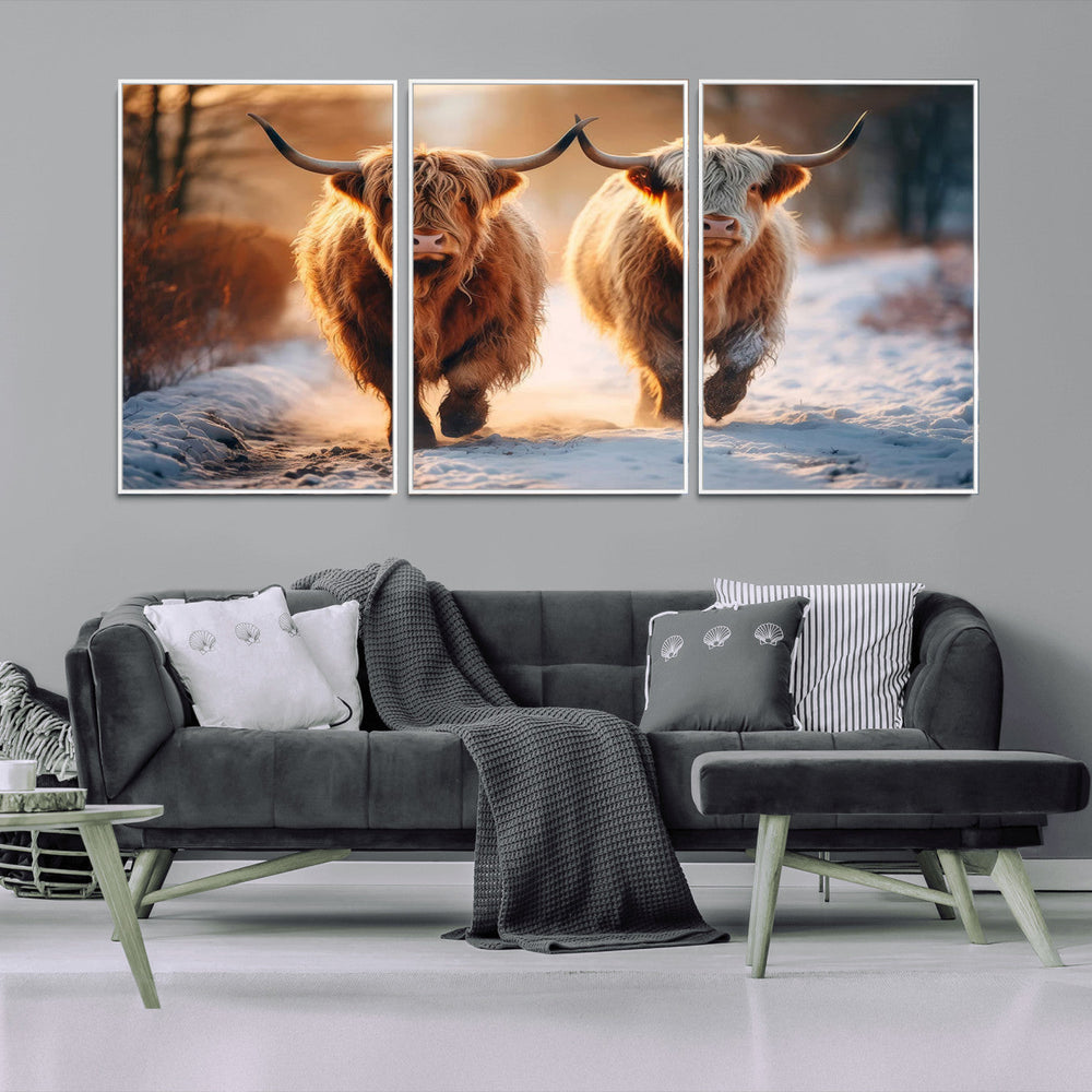 Scottish Highland Cow Horn Farm Wall Art Canvas Print